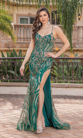 Sheer-Corset Long Glitter Prom Dress 4334