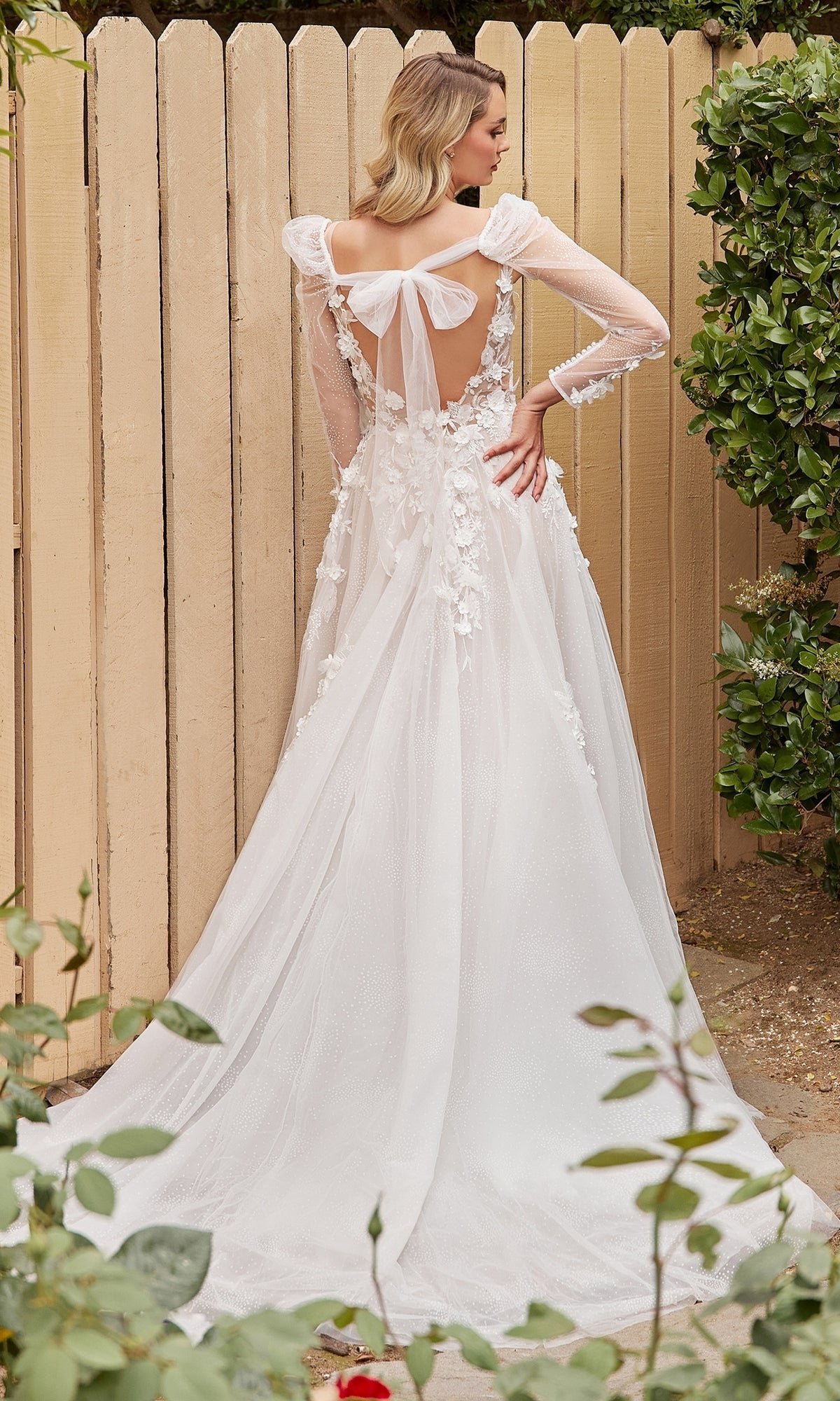 Long Formal Dress CDS436W by Ladivine