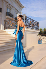 Tina Holly TT005 Long Fitted Formal Pleated Prom Dress