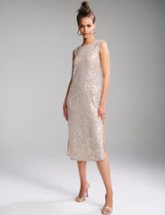 Sequin Mesh Midi Dress