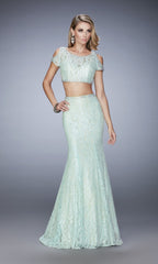 Long Formal La Femme Dress 22339