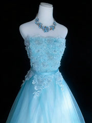 Pretty Prom Dresses Ball Gown Strapless Blue Tulle With Appliques Long Formal Dress N2953
