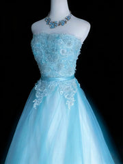 Pretty Prom Dresses Ball Gown Strapless Blue Tulle With Appliques Long Formal Dress N2953