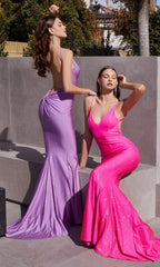 Ladivine Long Formal Dress BD4001