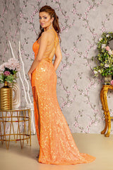 Prom Mermaid Formal Long Dress