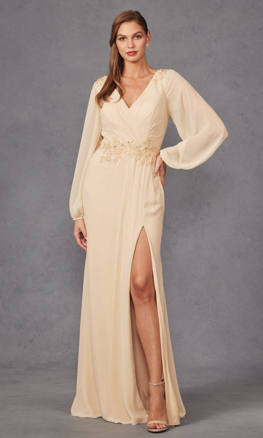 Juliet Long Formal Dress jtm16a